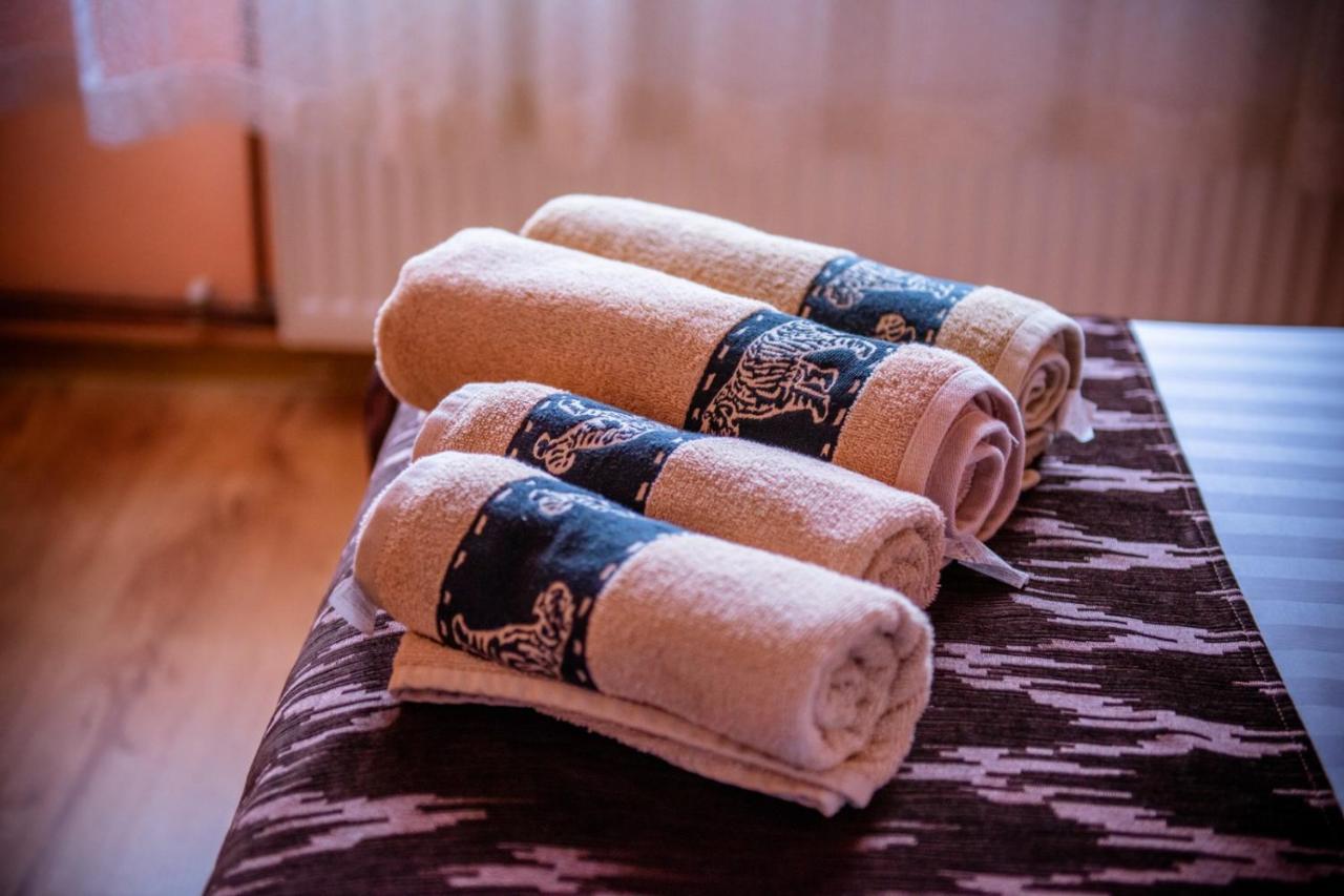 Hotel Popasul Drumetului Transfagarasan à Curtea de Argeş Extérieur photo