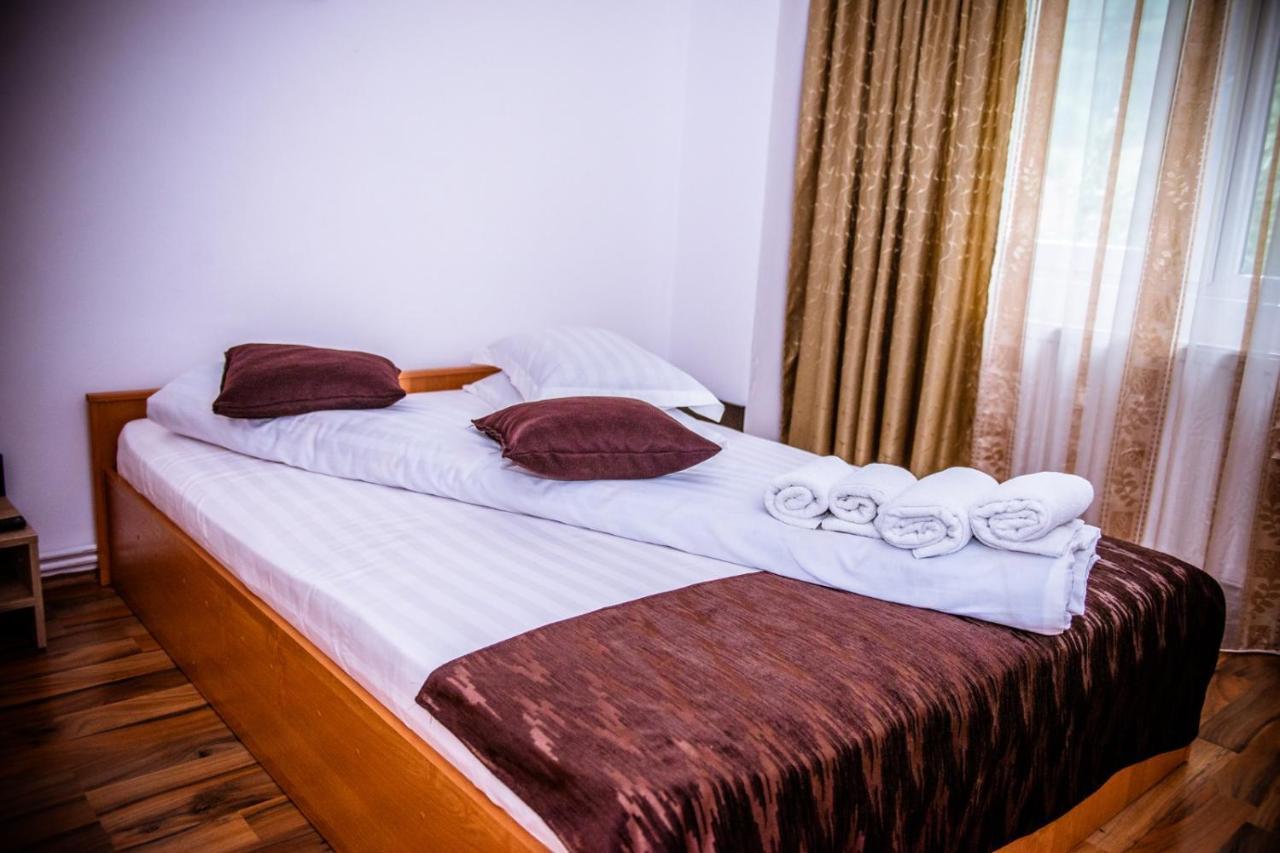 Hotel Popasul Drumetului Transfagarasan à Curtea de Argeş Extérieur photo