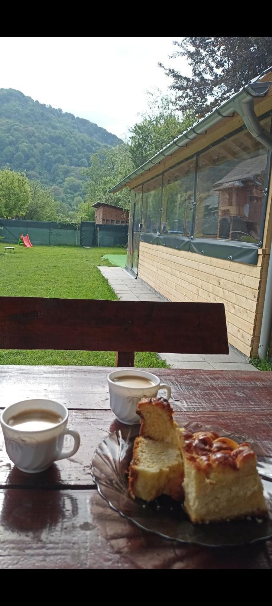 Hotel Popasul Drumetului Transfagarasan à Curtea de Argeş Extérieur photo