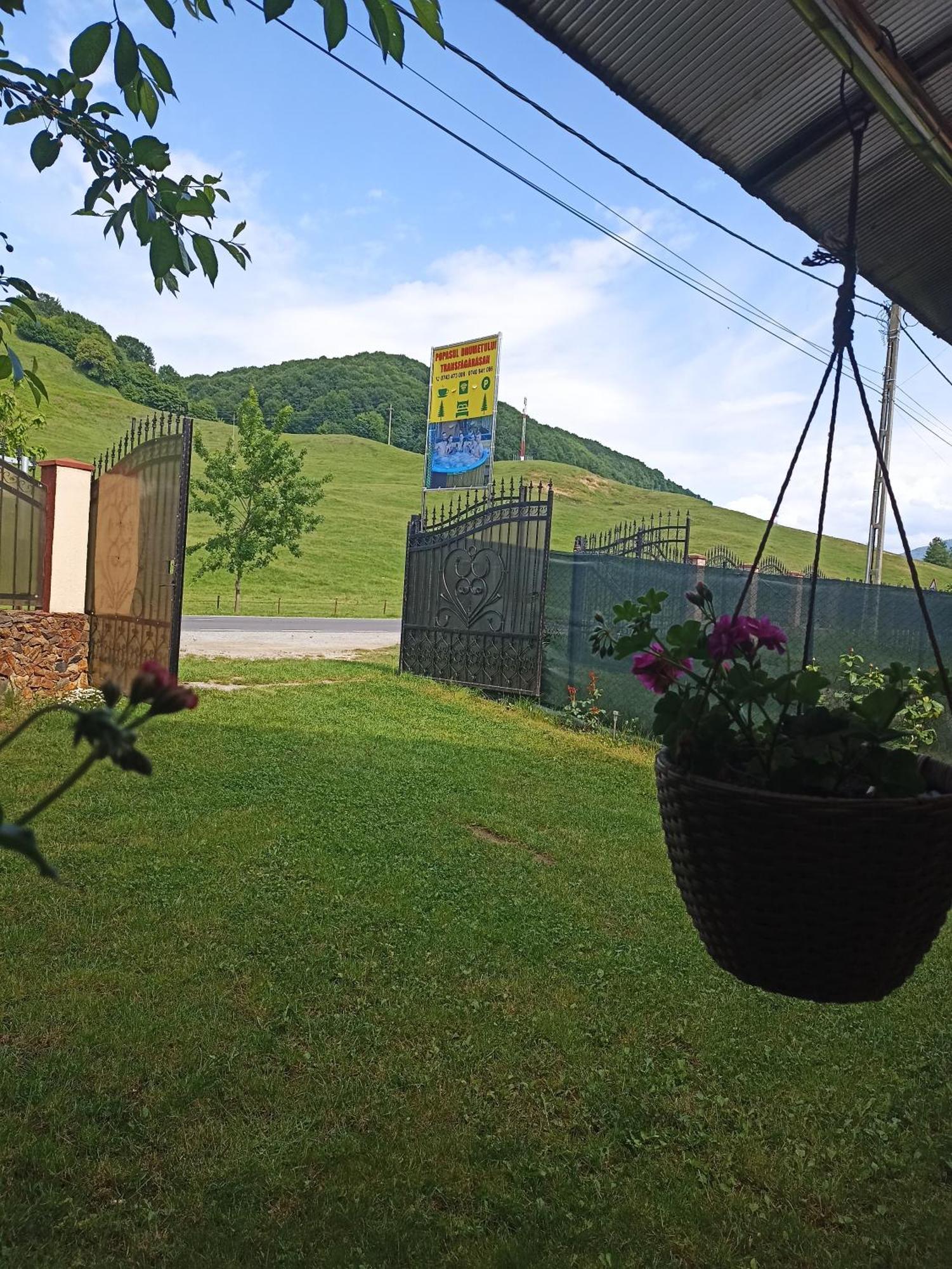 Hotel Popasul Drumetului Transfagarasan à Curtea de Argeş Extérieur photo